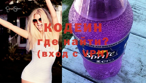 индика Касимов