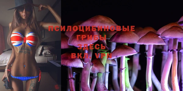 ALPHA PVP Киреевск