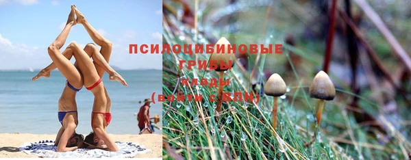 a pvp Кодинск