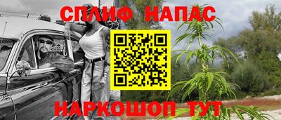 гашик Дубна
