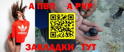гашик Дубна