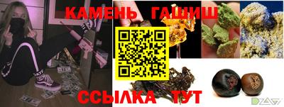 гашик Дубна
