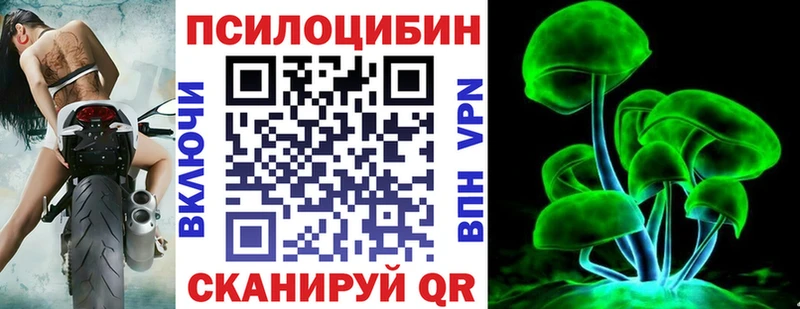 продажа наркотиков Людиново Псилоцибиновые грибы мицелий