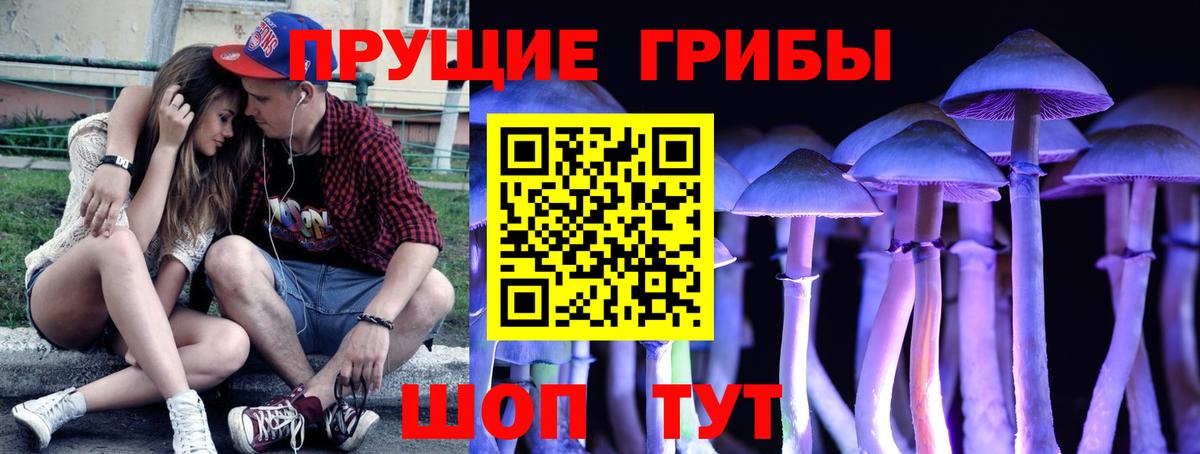 Людиново  Псилоцибиновые грибы GOLDEN TEACHER  Вход с VPN 